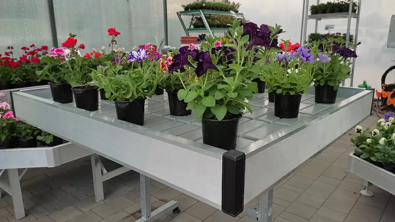 Вегетационные столы для выращивания рассады 3